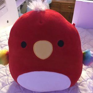 Paco (red bird) squishmallow
